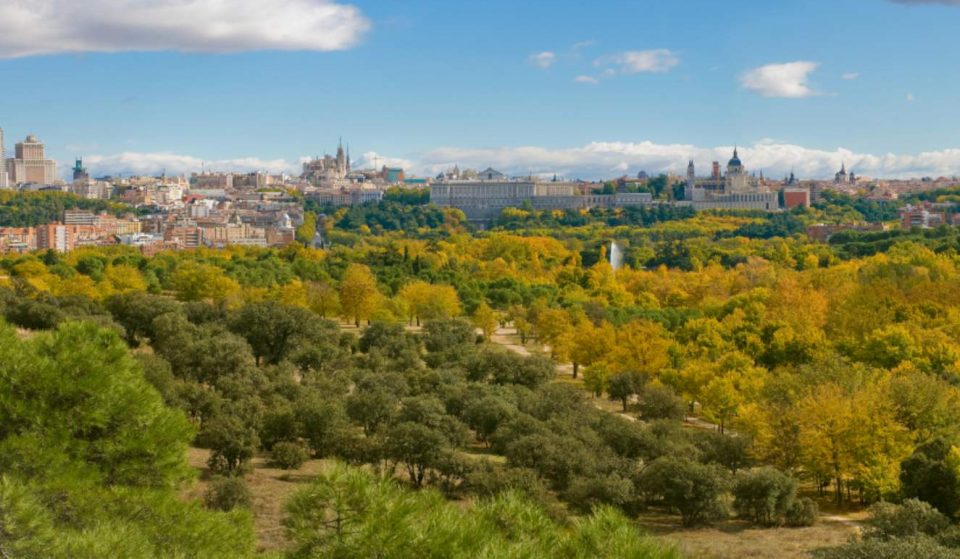 10 lugares donde hacer pícnic en Madrid