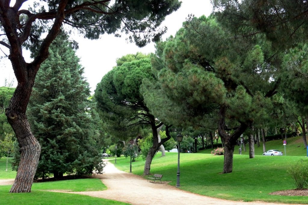 Madrid tendrá su primer espacio dedicado a la lectura al aire libre en un parque