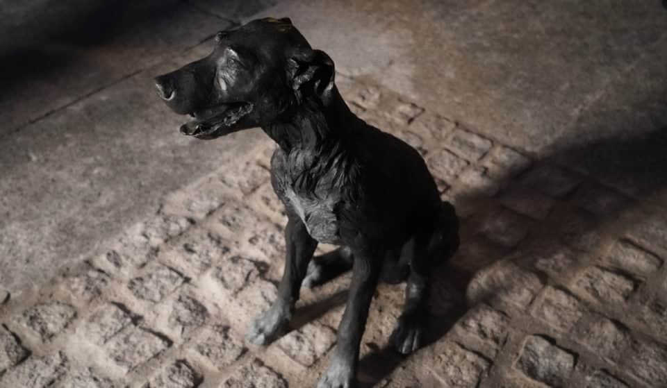 Paco, el perro callejero más famoso del Madrid del siglo XIX, ya tiene una estatua