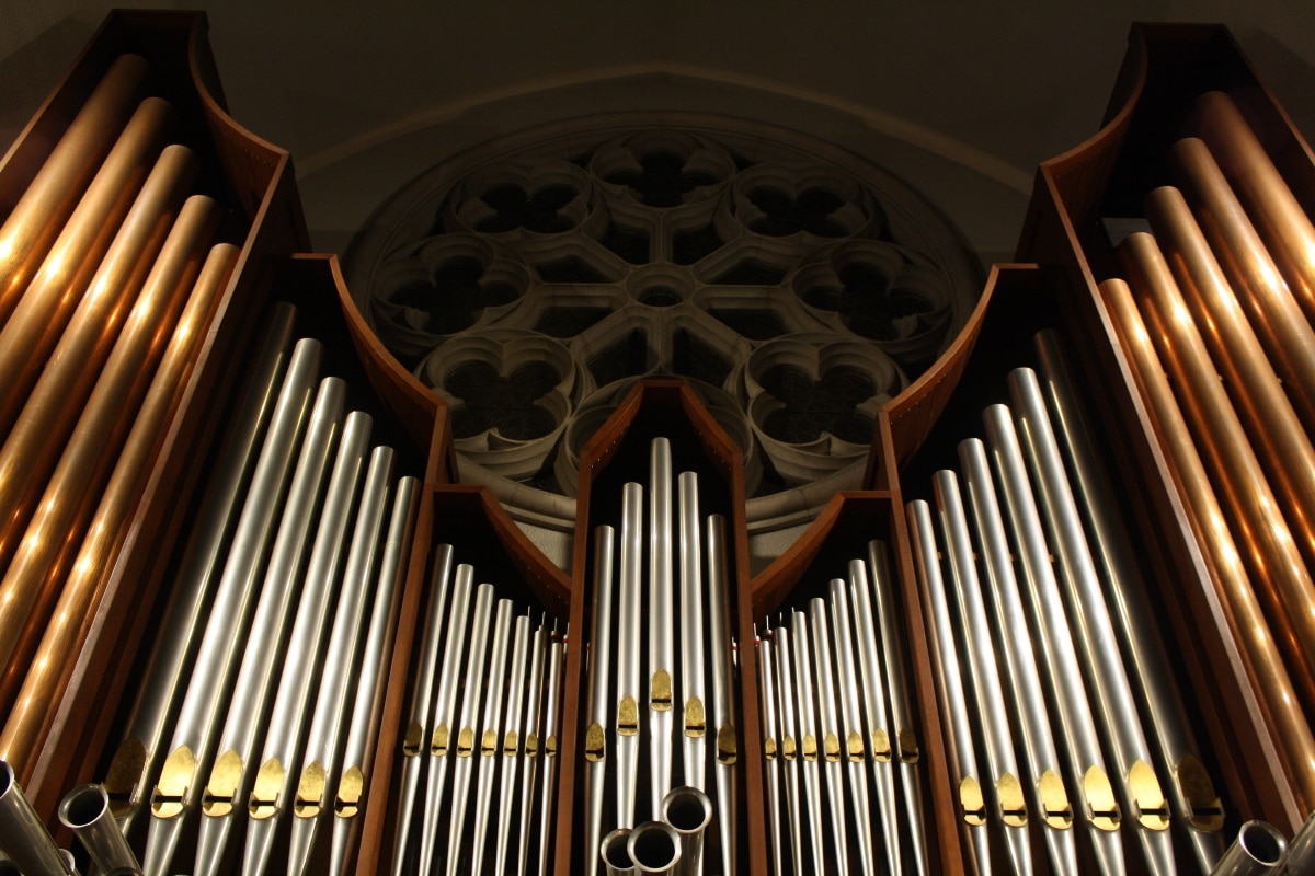 organo instrumento